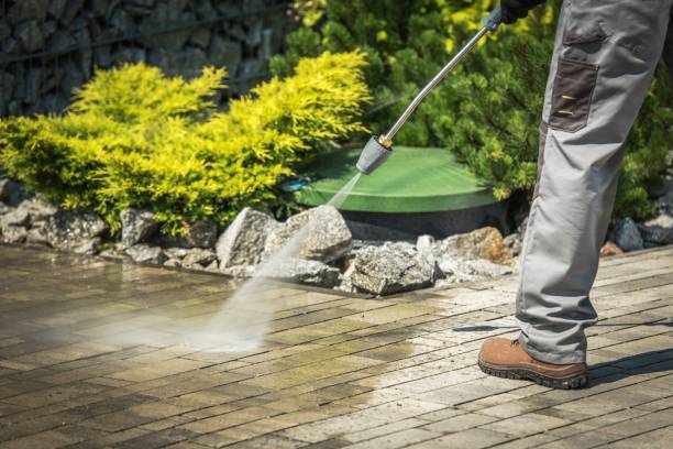 Best Pool Deck Cleaning  in Lake Shastina, CA
